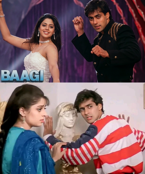 Salman Khan Ki Film Baaghi Hit Hai Ya Flop