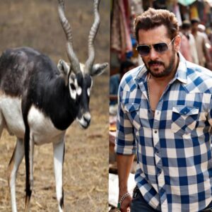 Kala Hiran Shikar mamle me 26 july ko salman khan sahit sabhi kalakaaro ki sunvai hogi